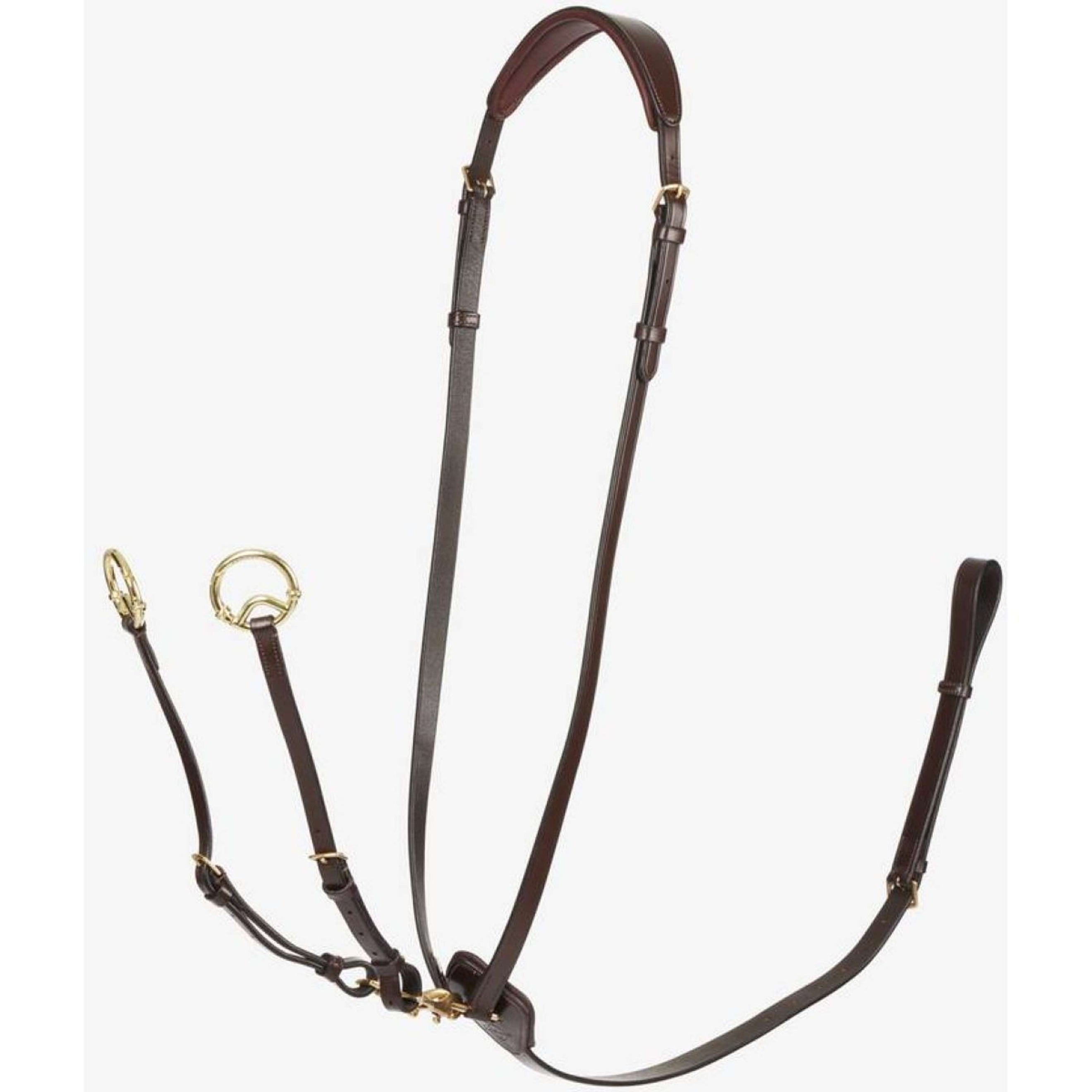 LeMieux Martingale Kudos Running Havana/Brass LeMieux Martingale Kudos Running Havana/Brass