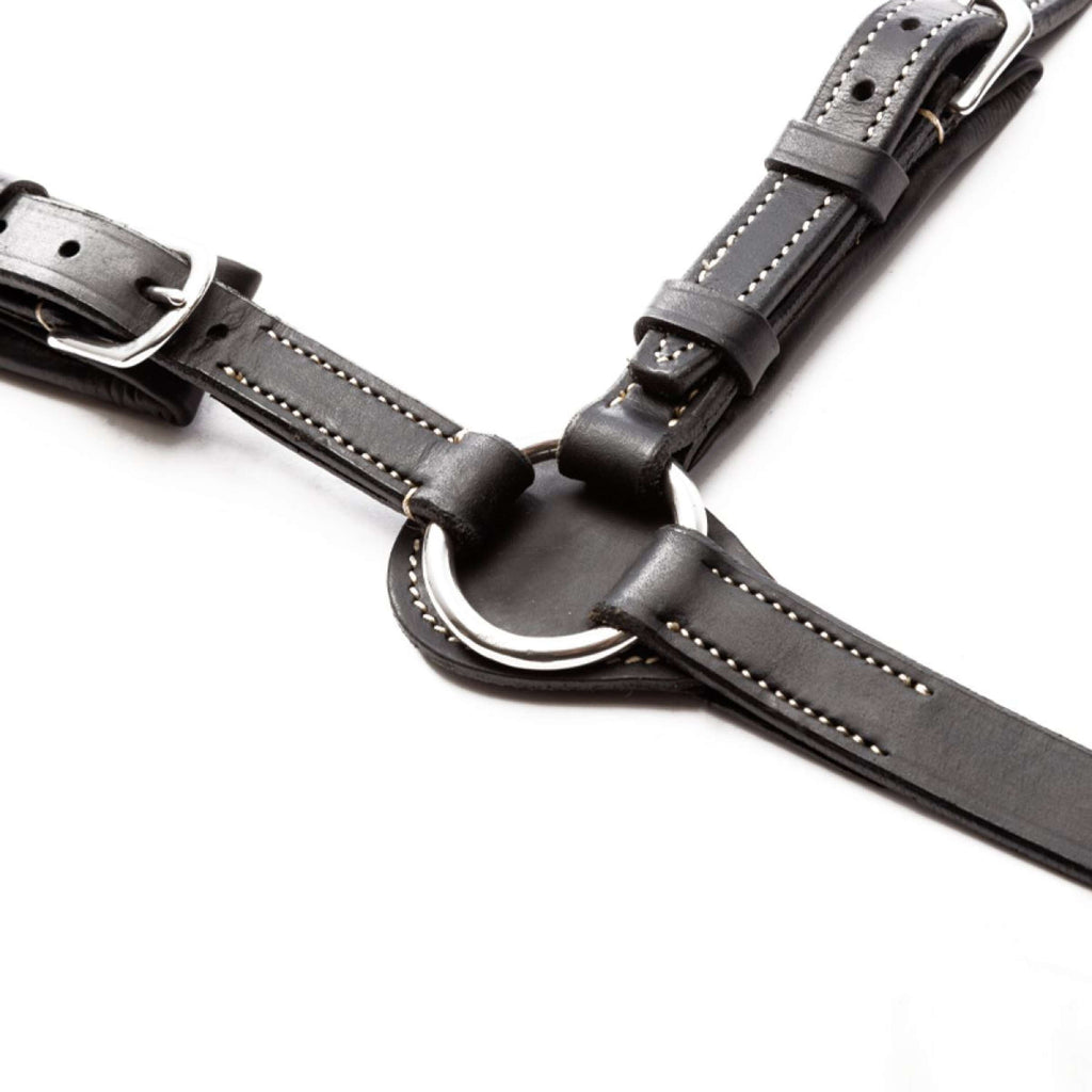 Kavalkade Collier de Chasse Jerome 2-Points Noir