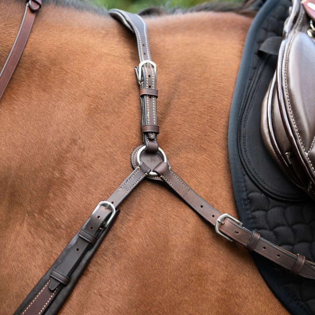 Kavalkade Collier de Chasse Jerome 2-Points Marron