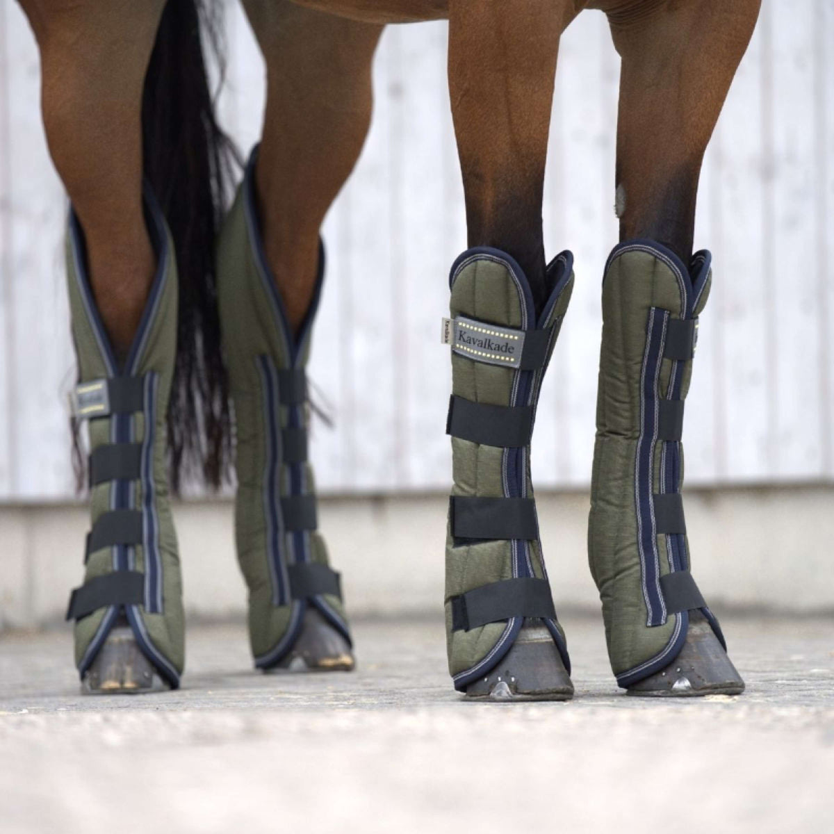 Kavalkade Guêtres de Transport Montreal Vert