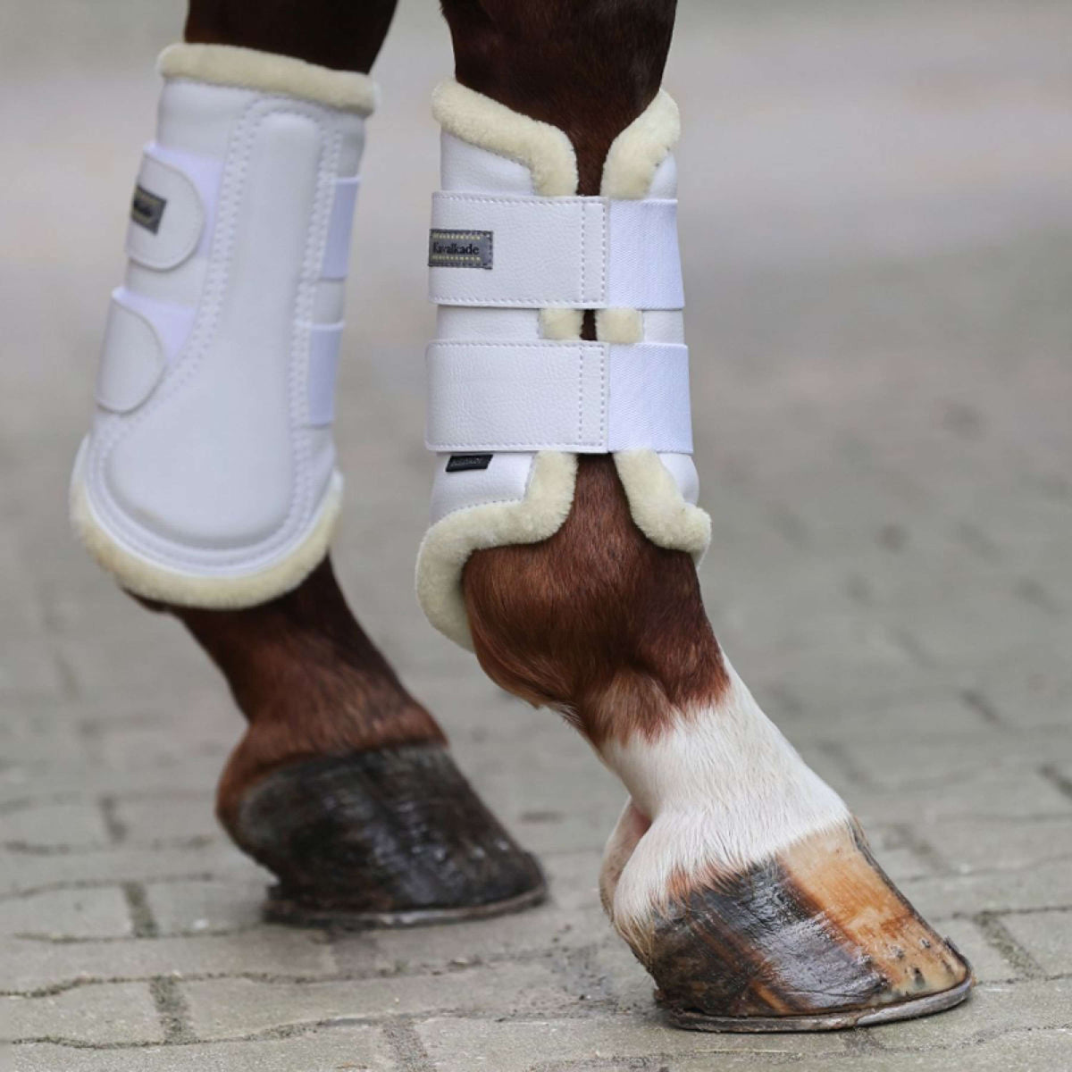 Kavalkade Dressage Boots avec Fausse Fourrure Blanc