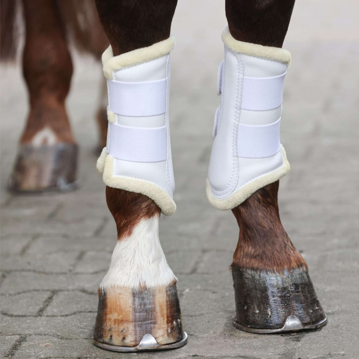 Kavalkade Dressage Boots avec Fausse Fourrure Blanc