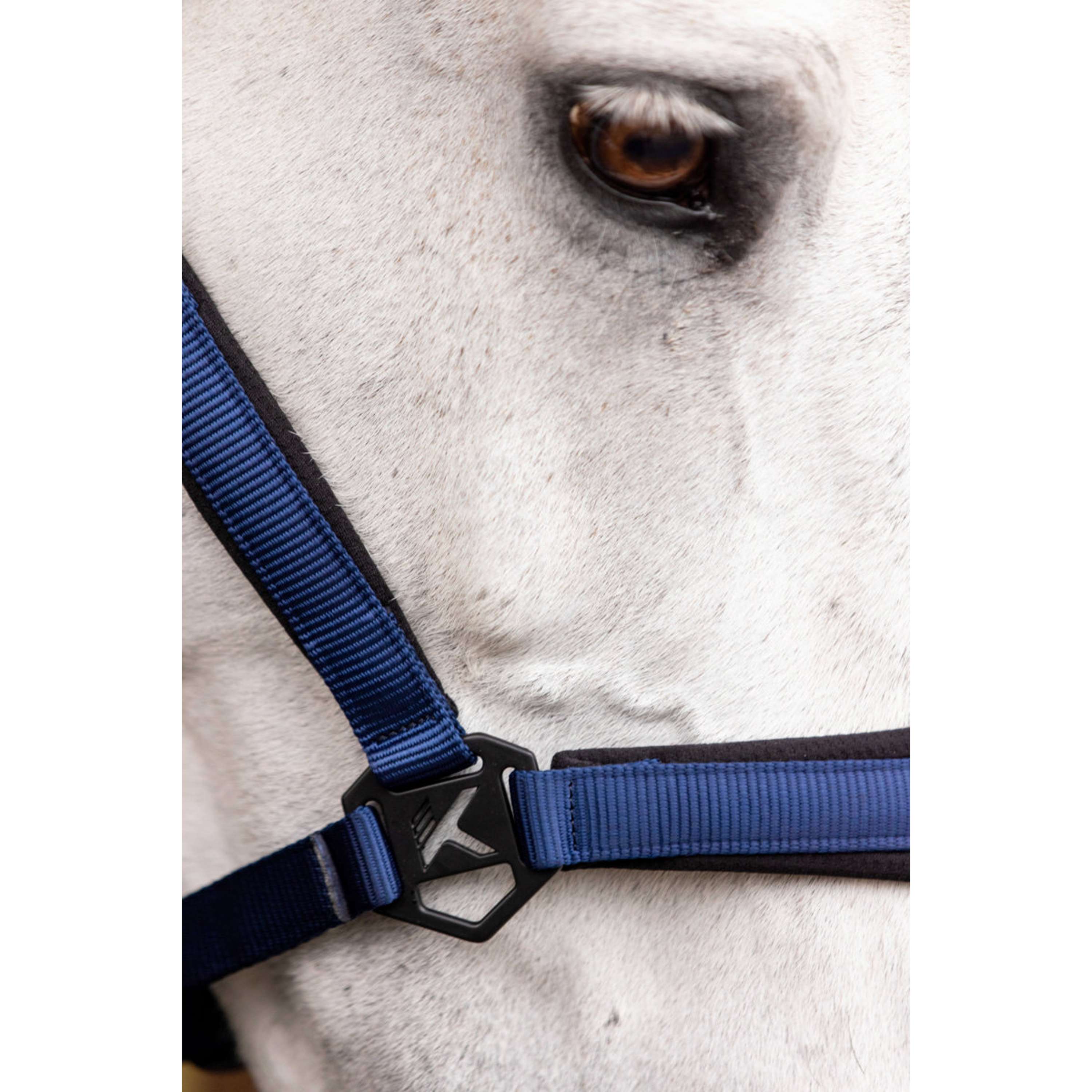 K by EQUITHÈME Licol Triton Bleu Royal