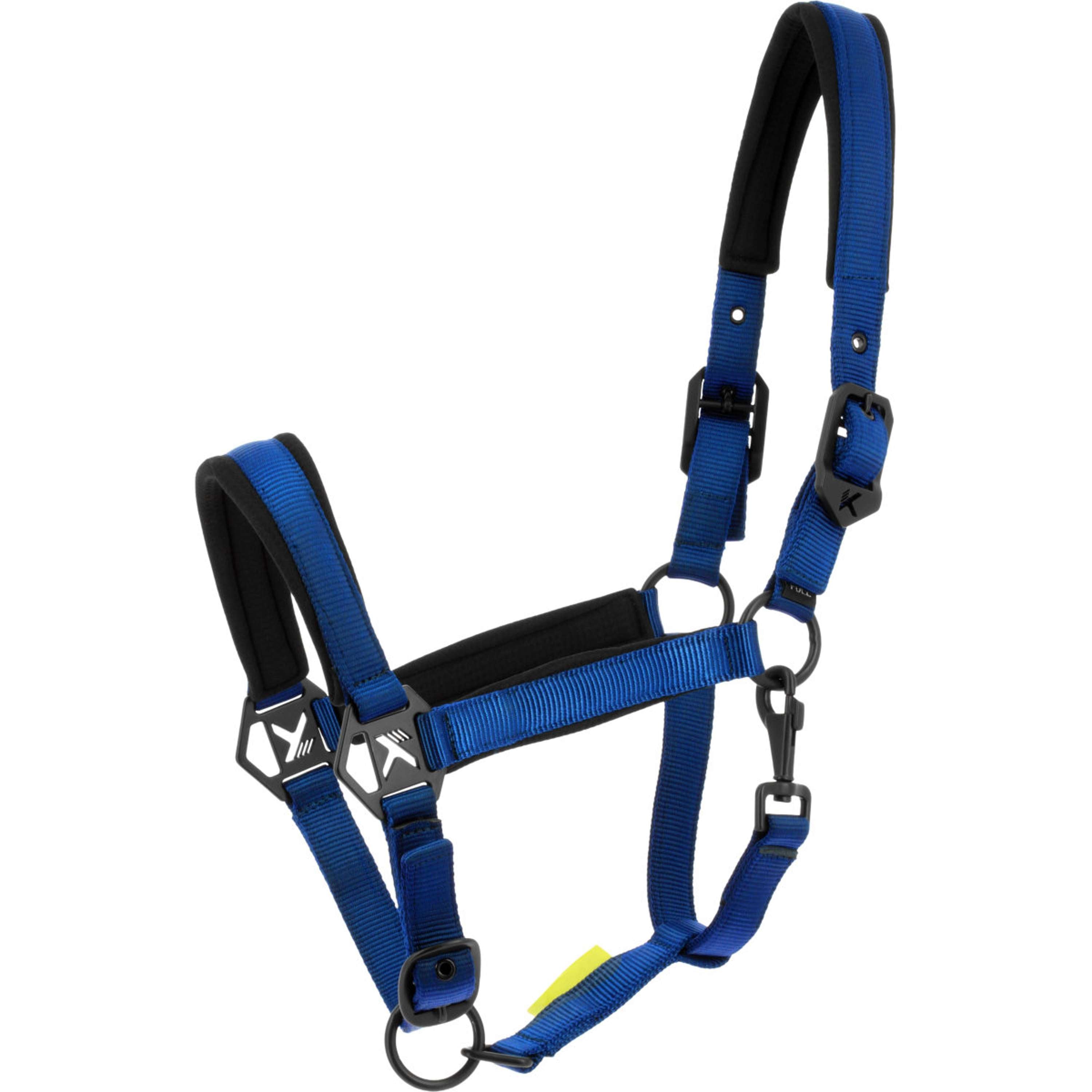 K by EQUITHÈME Licol Triton Bleu Royal