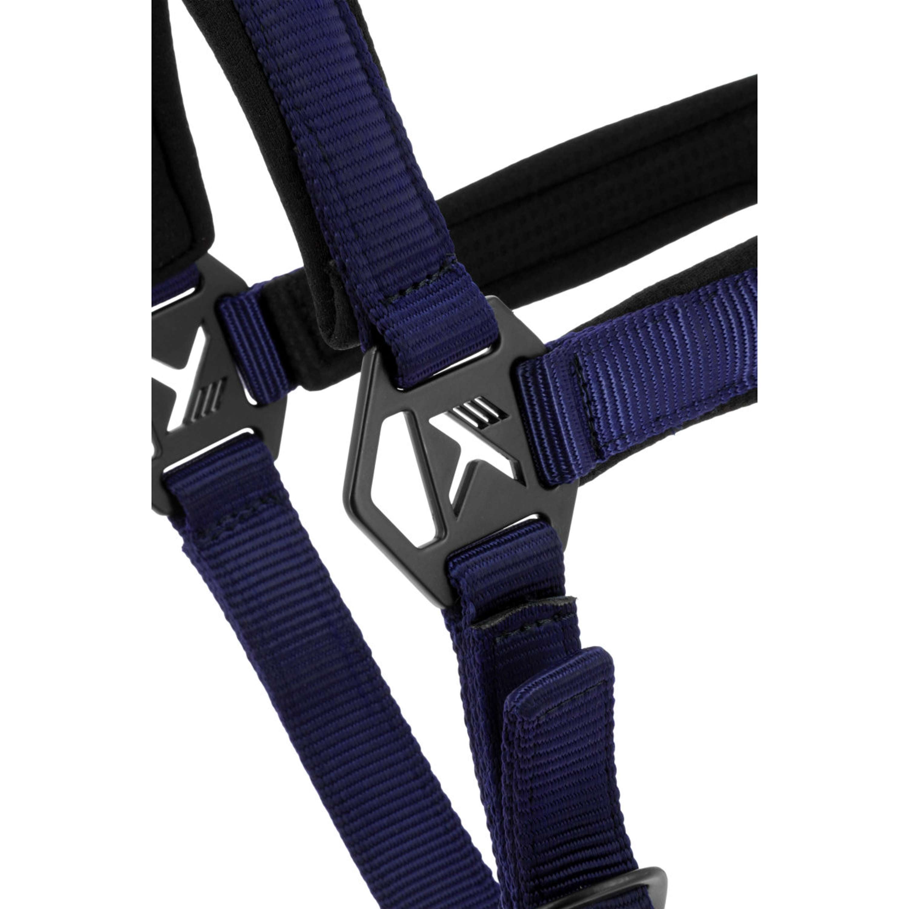 K by EQUITHÈME Licol Triton Marine