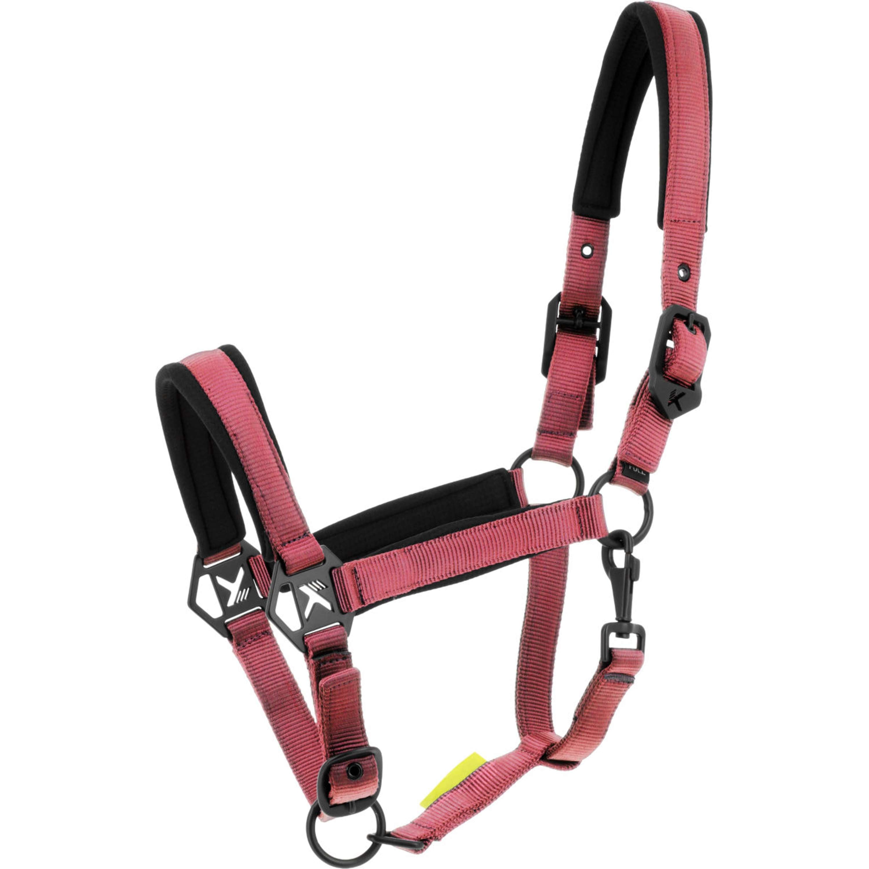 K by EQUITHÈME Licol Triton Rose