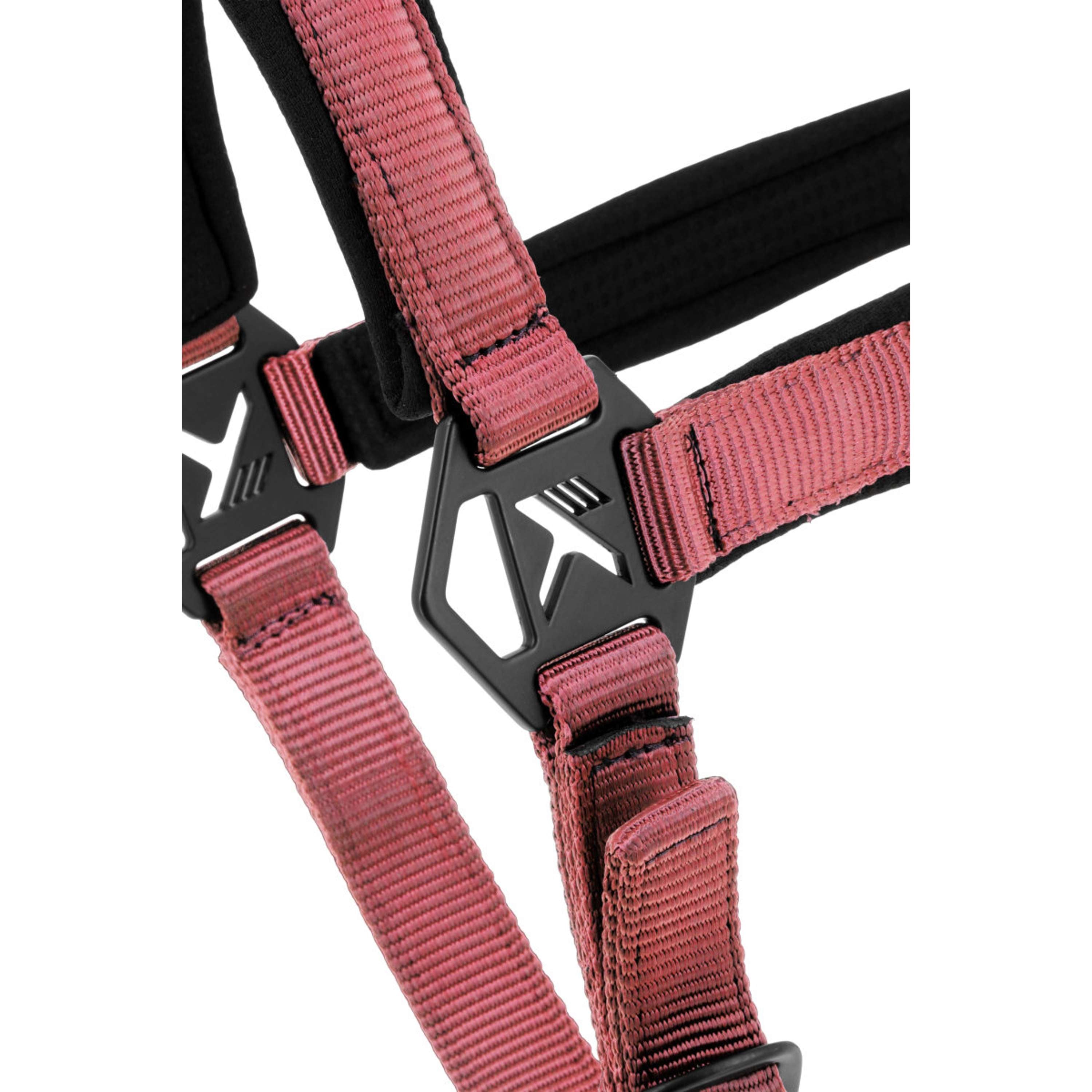 K by EQUITHÈME Licol Triton Rose