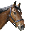 Covalliero Licol Robuste Cuir Marron