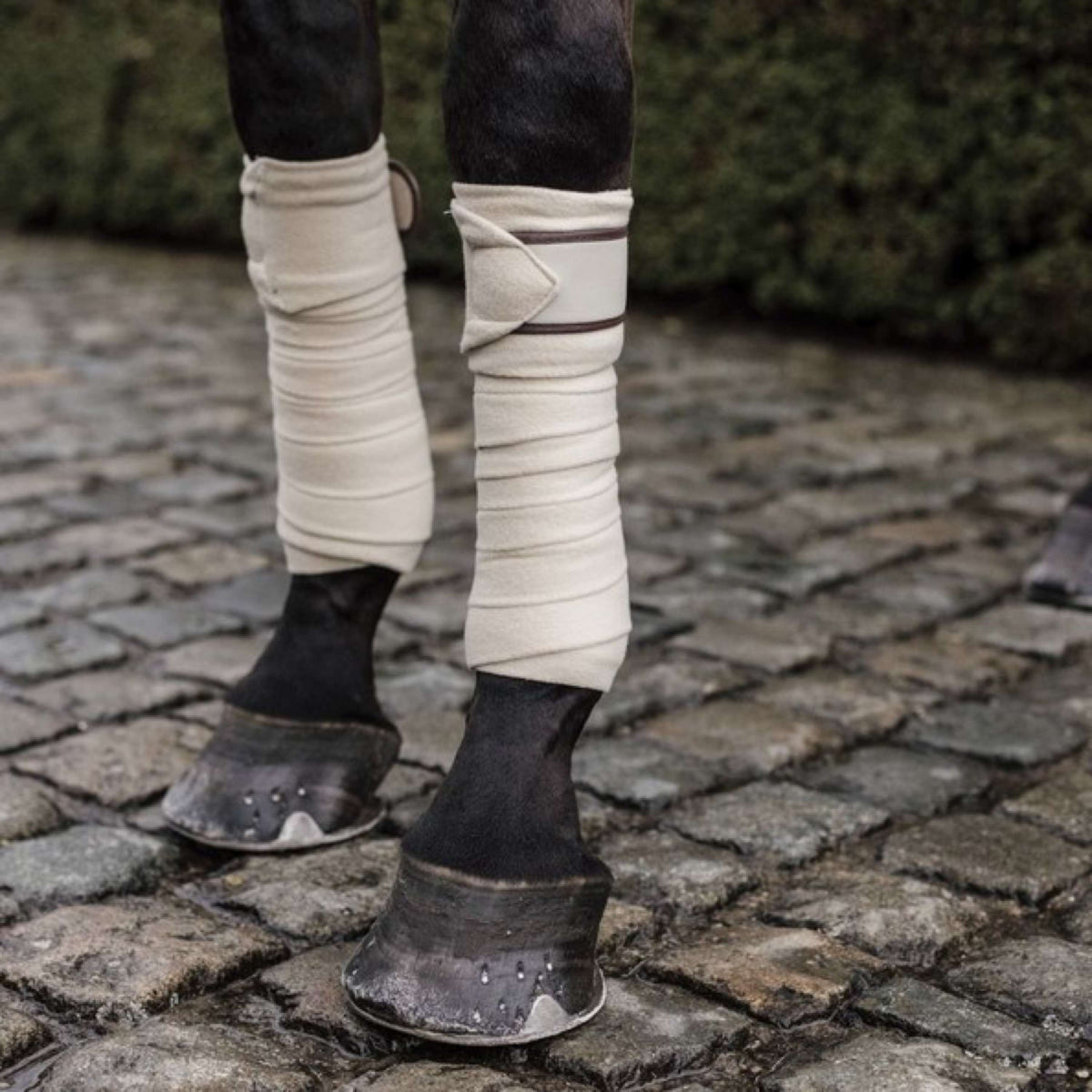 Kentucky Horsewear Bandages Fleece Polaire Beige
