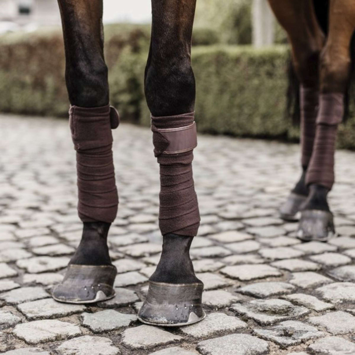 Kentucky Horsewear Bandages Fleece Polaire Marron