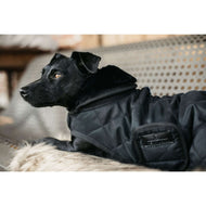 Kentucky Veste pour Chien Original Royal Noir