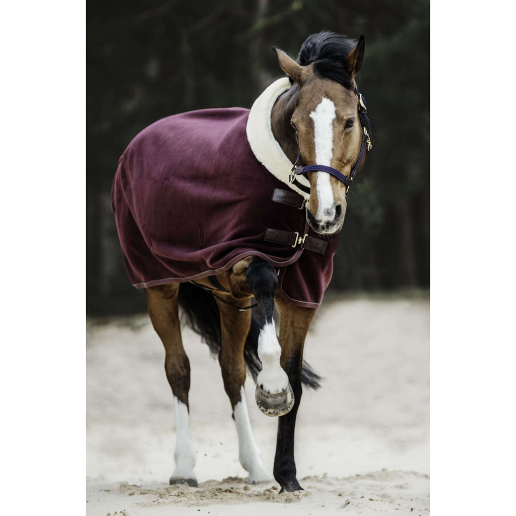 Kentucky Couvertures Anti-Transpiration Show Fleece Heavy Bordeaux