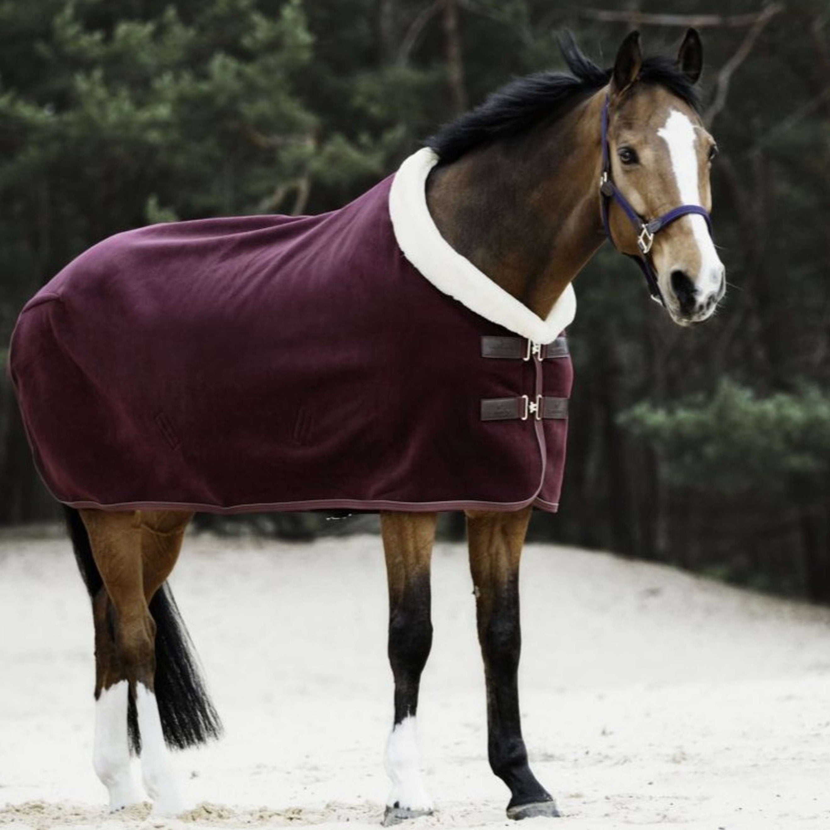 Kentucky Couvertures Anti-Transpiration Show Fleece Heavy Bordeaux