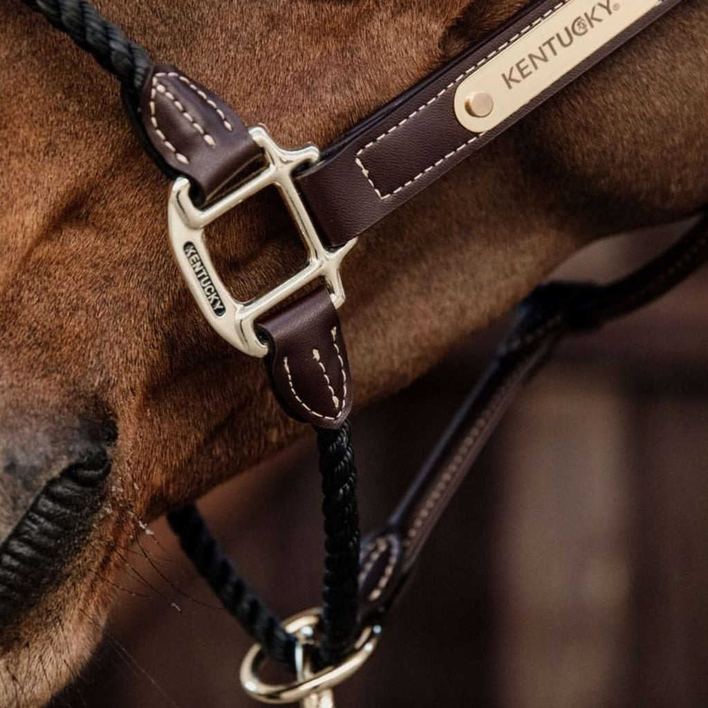 Kentucky Licol en Cuir et Corde Noir
