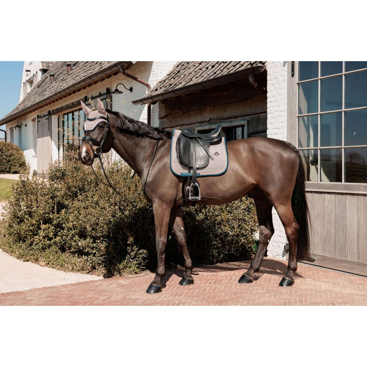 Kentucky Horsewear Tapis de Selle Pied-de-Poule Dressage Bordeaux/Marine