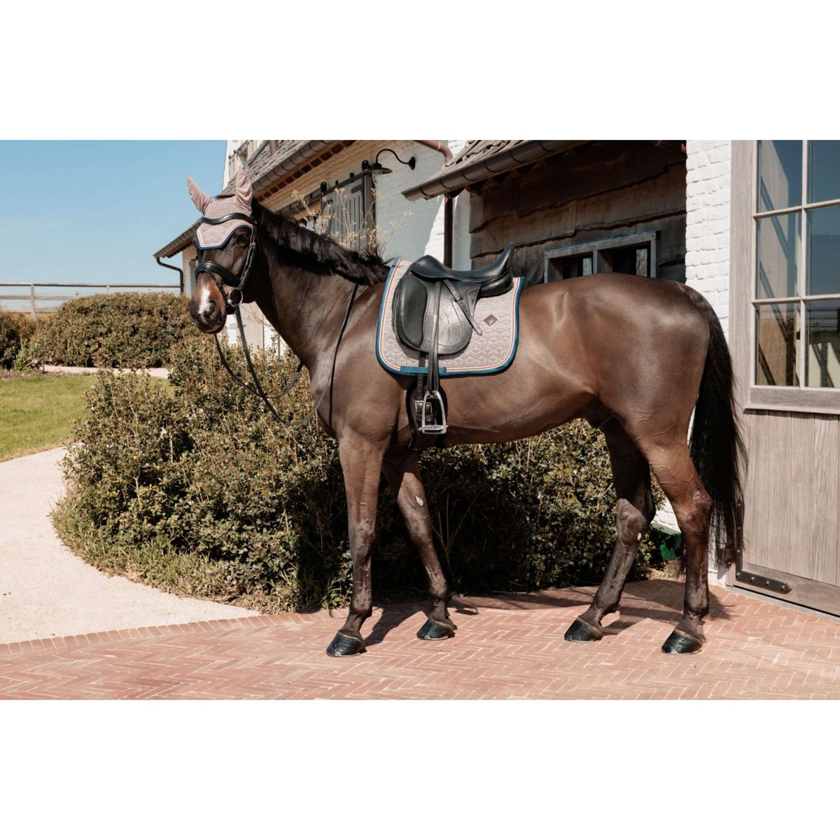 Kentucky Horsewear Tapis de Selle Pied-de-Poule Dressage Bordeaux/Marine