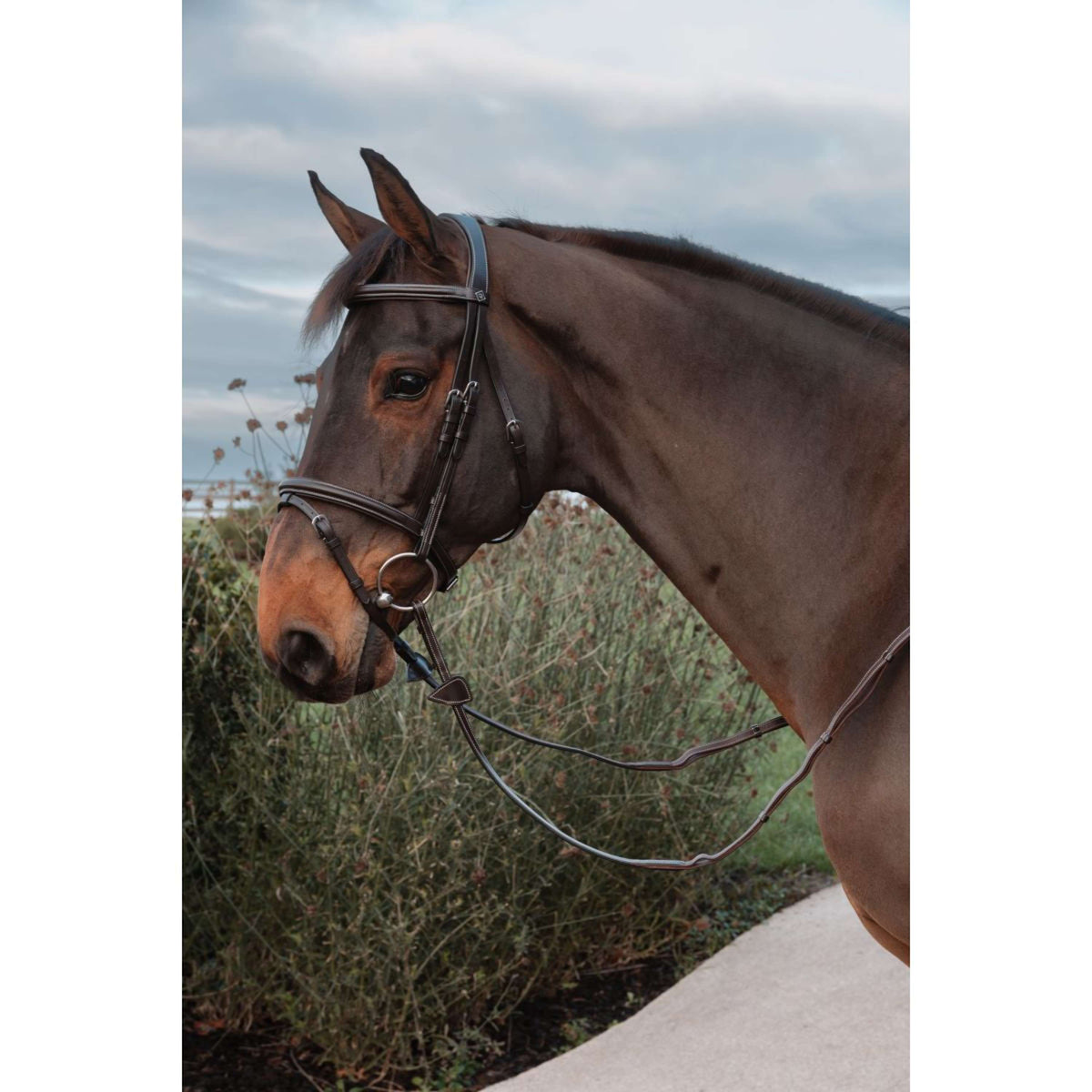 Dyon Rênes Leather Working Collection 1/2 avec Poignées Marron