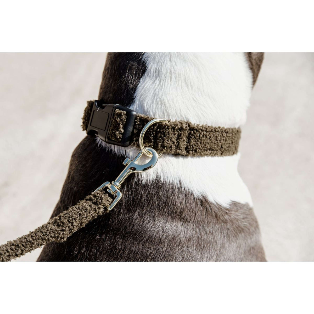 Kentucky Collier Teddy Fleece Pine Green