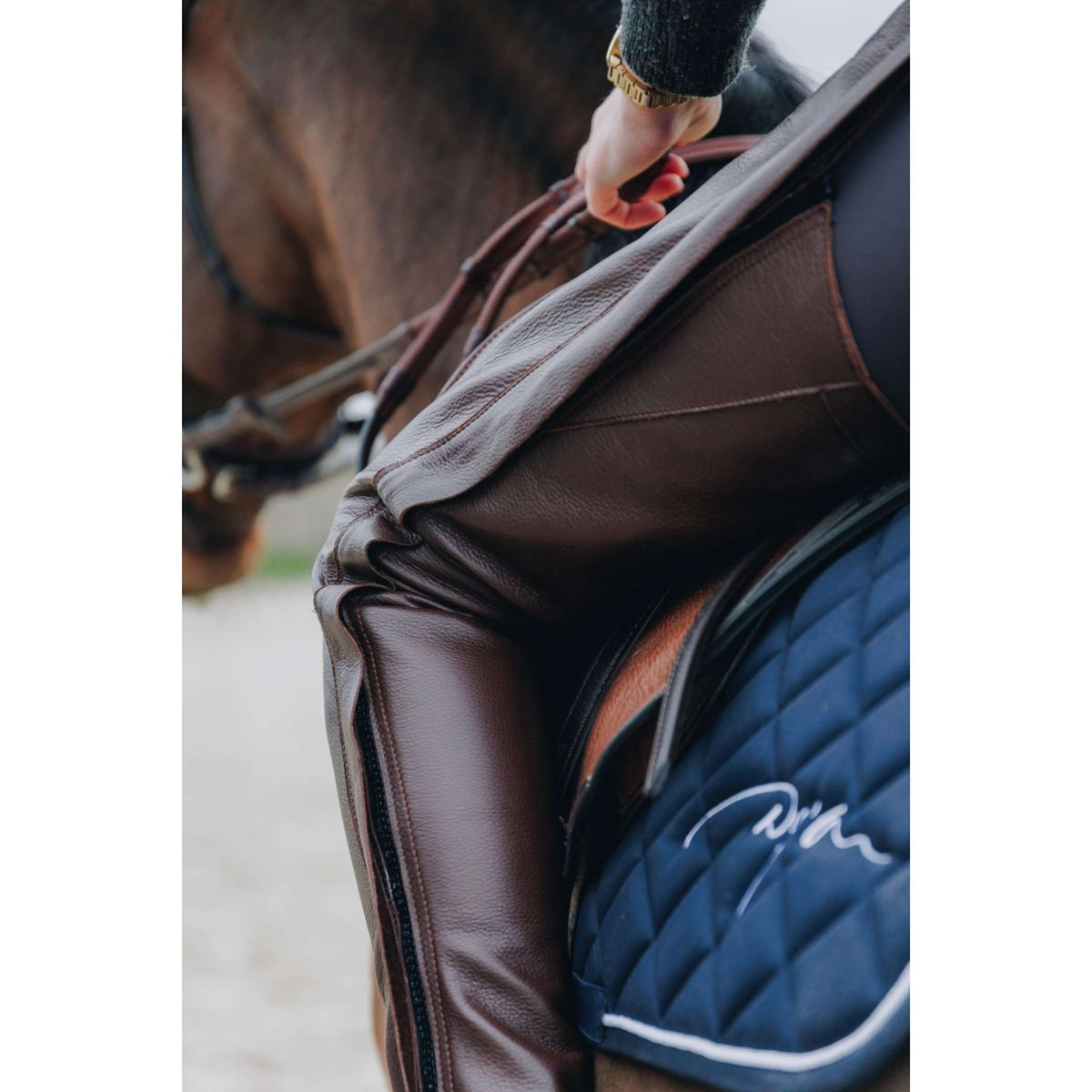 Dyon Longues Jambières en Cuir Standard Marron