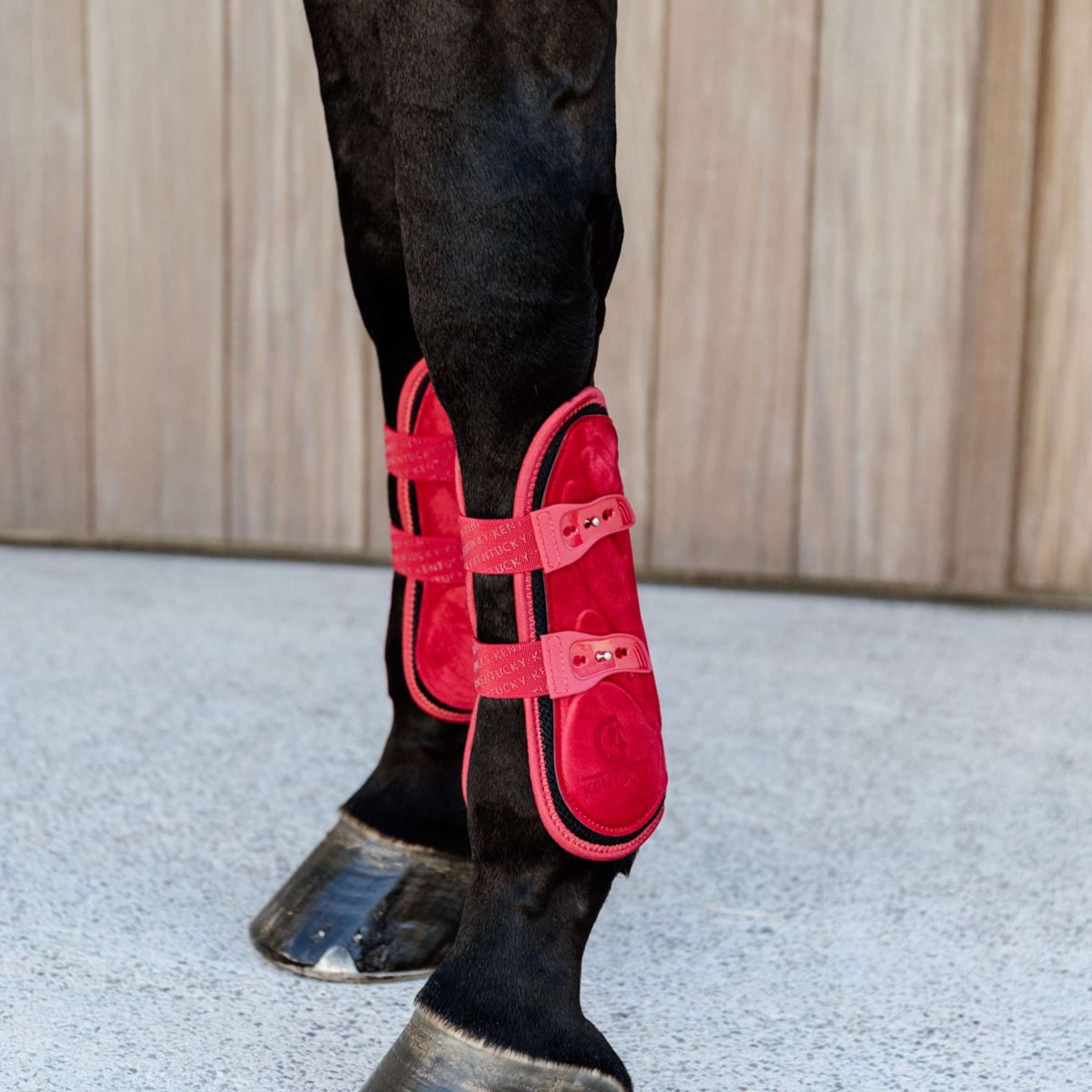 Kentucky Horsewear Protèges-Tendons Bamboo Elastic Rouge