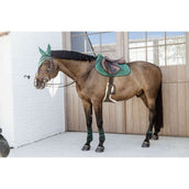 Kentucky Protège-Boulets Young Horse Velvet Vert foncé