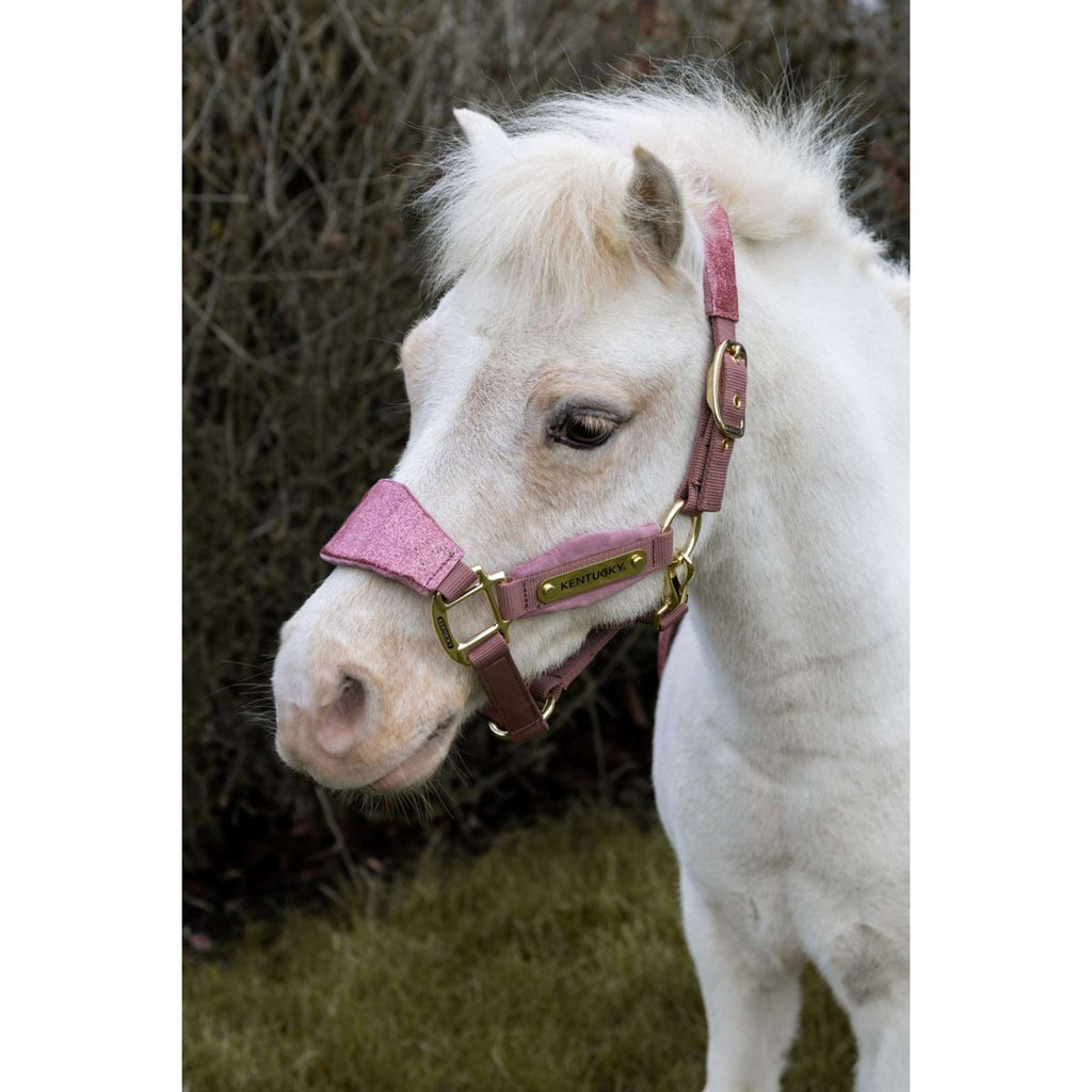 Kentucky Horsewear Licol Velvet Glitter Unicorn Rose Vieux