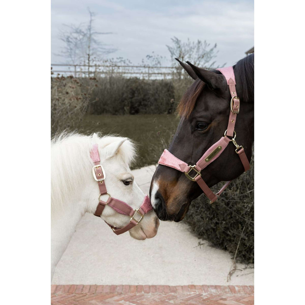 Kentucky Horsewear Licol Velvet Glitter Unicorn Rose Vieux