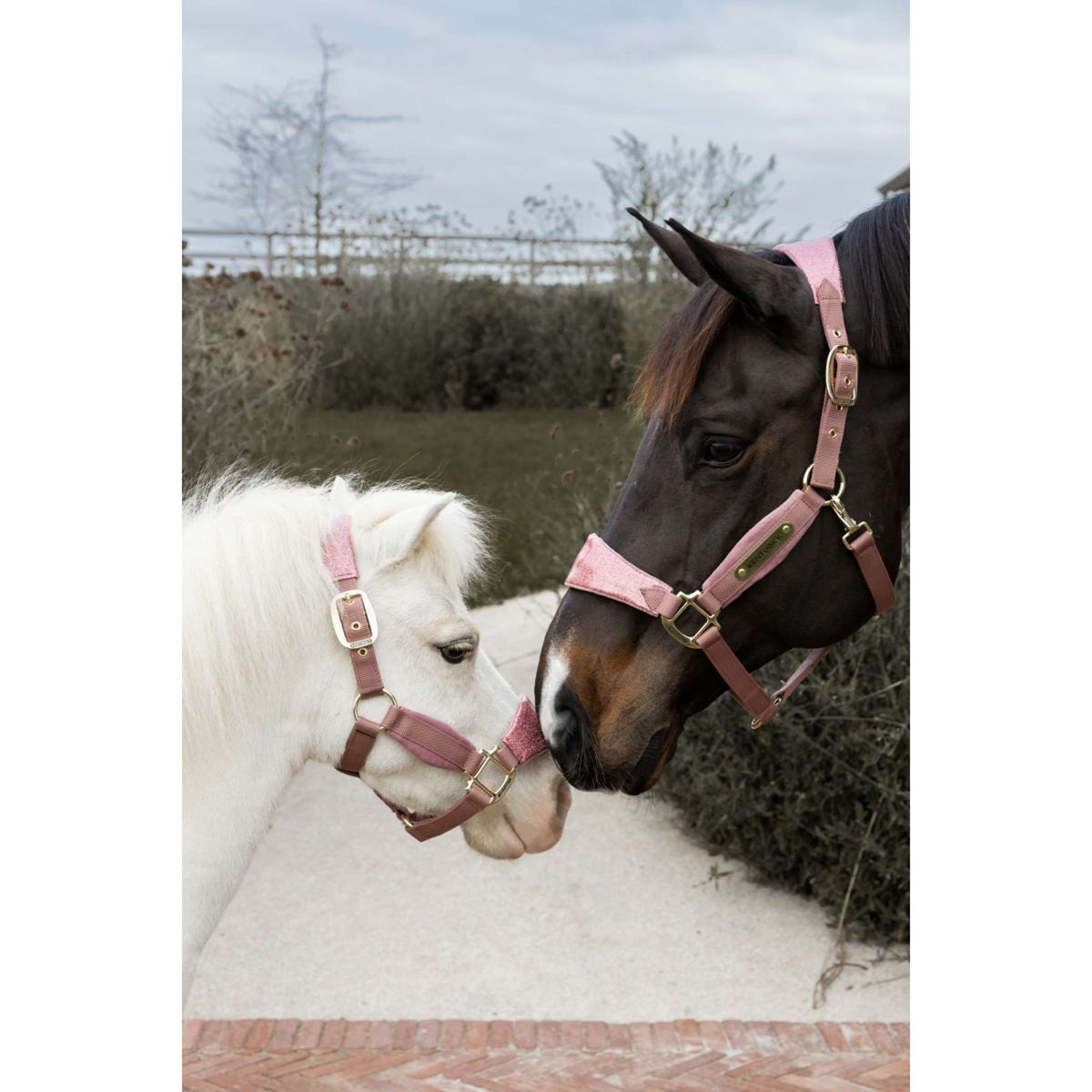 Kentucky Horsewear Licol Velvet Glitter Unicorn Rose Vieux