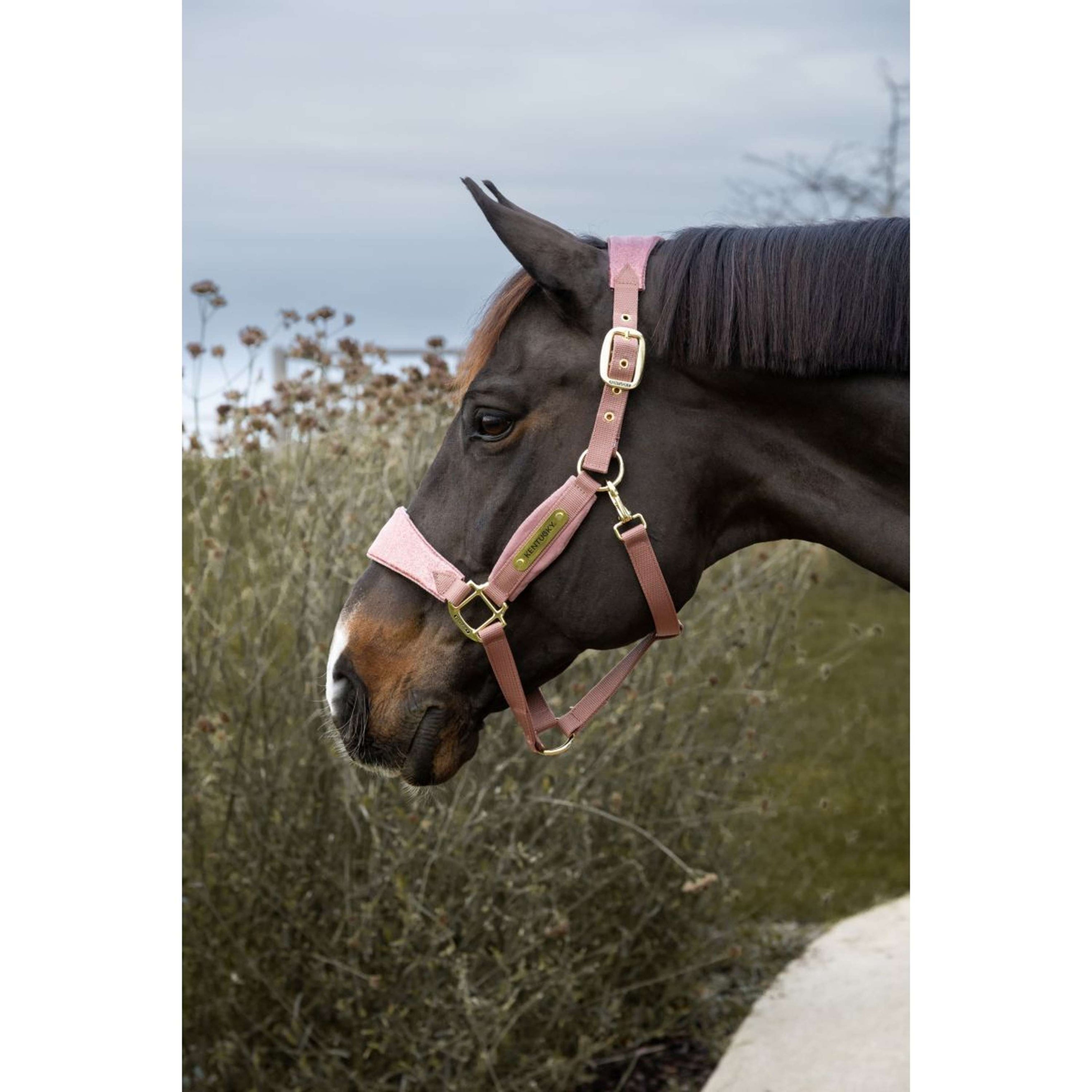Kentucky Horsewear Licol Velvet Glitter Unicorn Rose Vieux Kentucky Horsewear Licol Velvet Glitter Unicorn Rose Vieux