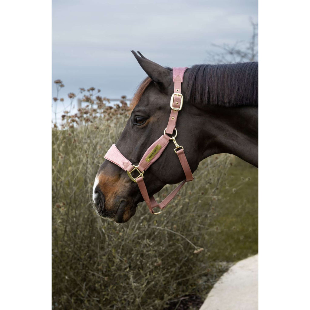 Kentucky Horsewear Licol Velvet Glitter Unicorn Rose Vieux