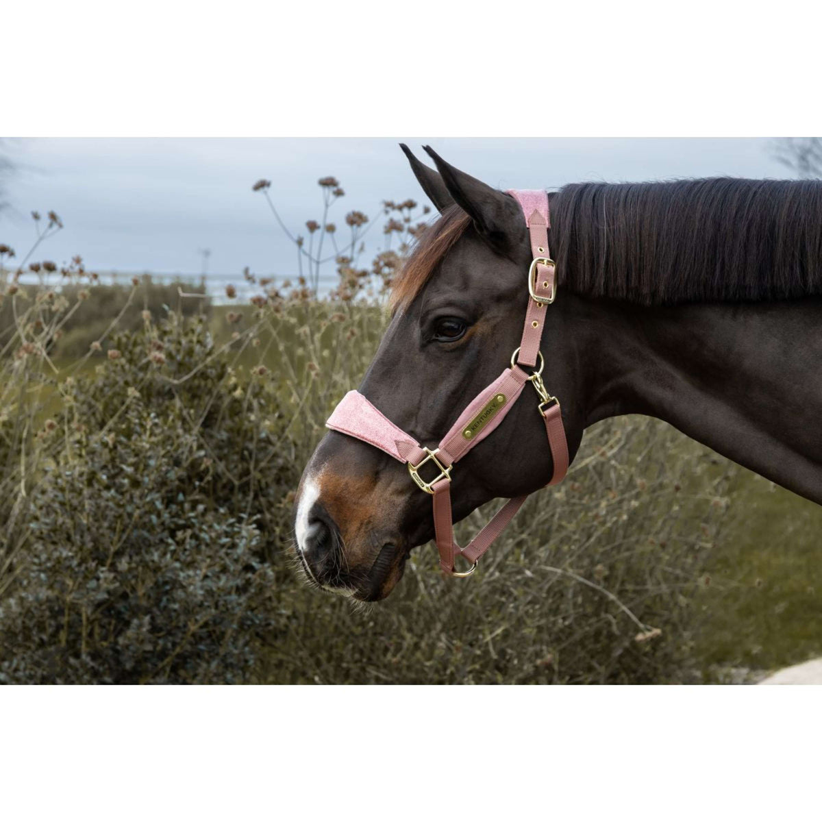 Kentucky Horsewear Licol Velvet Glitter Unicorn Rose Vieux