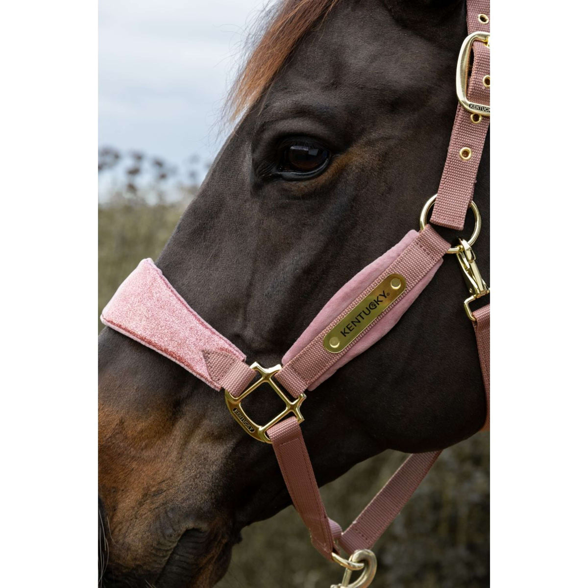 Kentucky Horsewear Licol Velvet Glitter Unicorn Rose Vieux