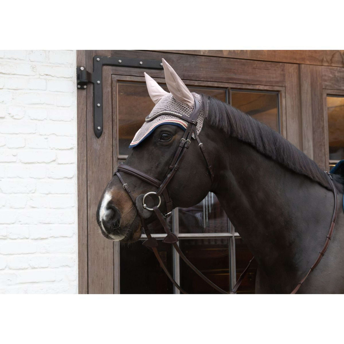 Kentucky Horsewear Bonnet Anti-Mouches Wellington Pied-de-Poule Bordeaux/Marine