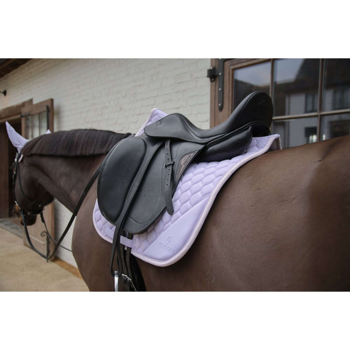 Kentucky Horsewear Tapis de Selle Softshell Onion Quilt Dressage Violet clair/Rose clair