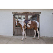 Kentucky Horsewear Tapis de Selle Softshell Onion Quilt de Saut Beige/Vieux Rose