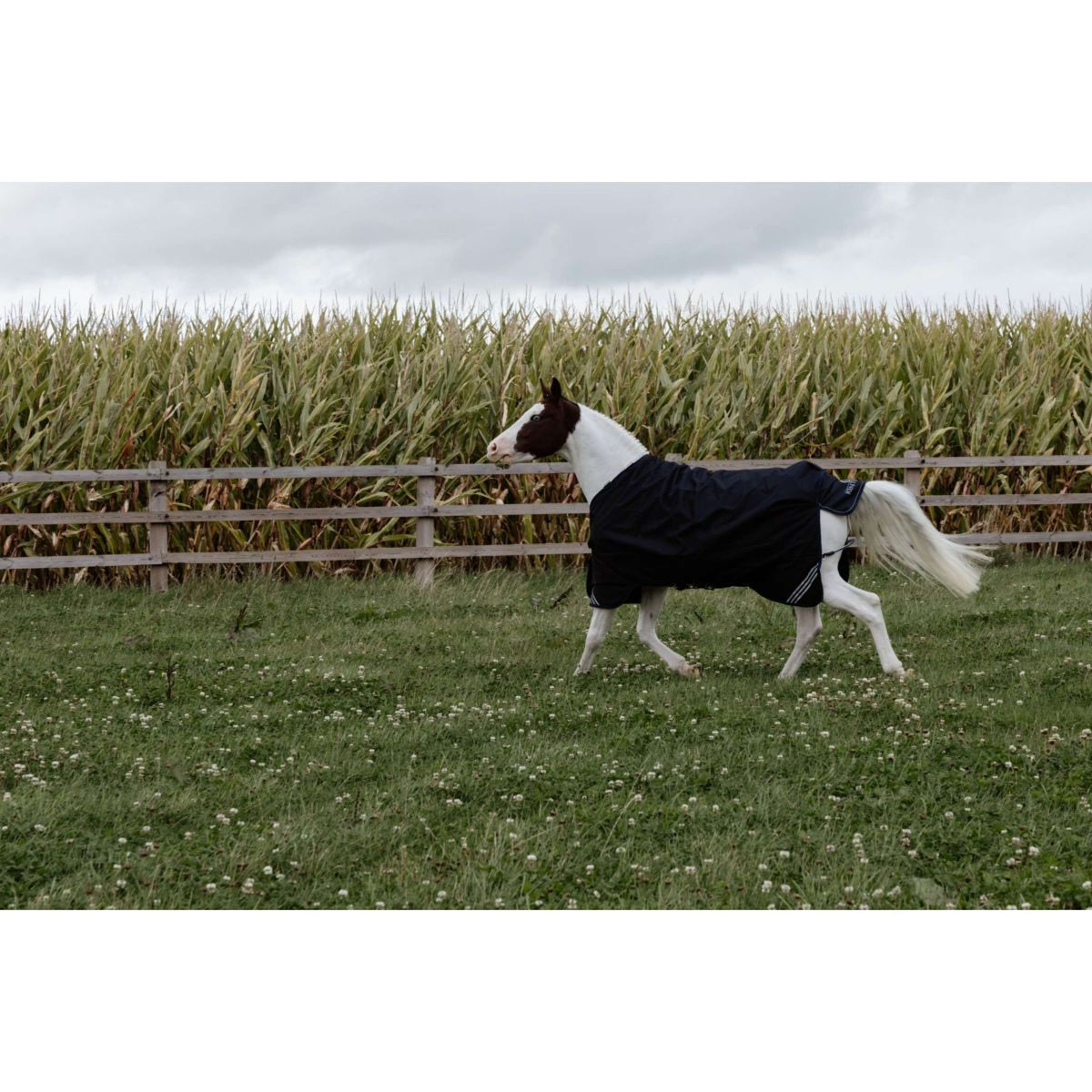Kentucky Turnout Rug All Weather Comfort Waterproof 0g Noir
