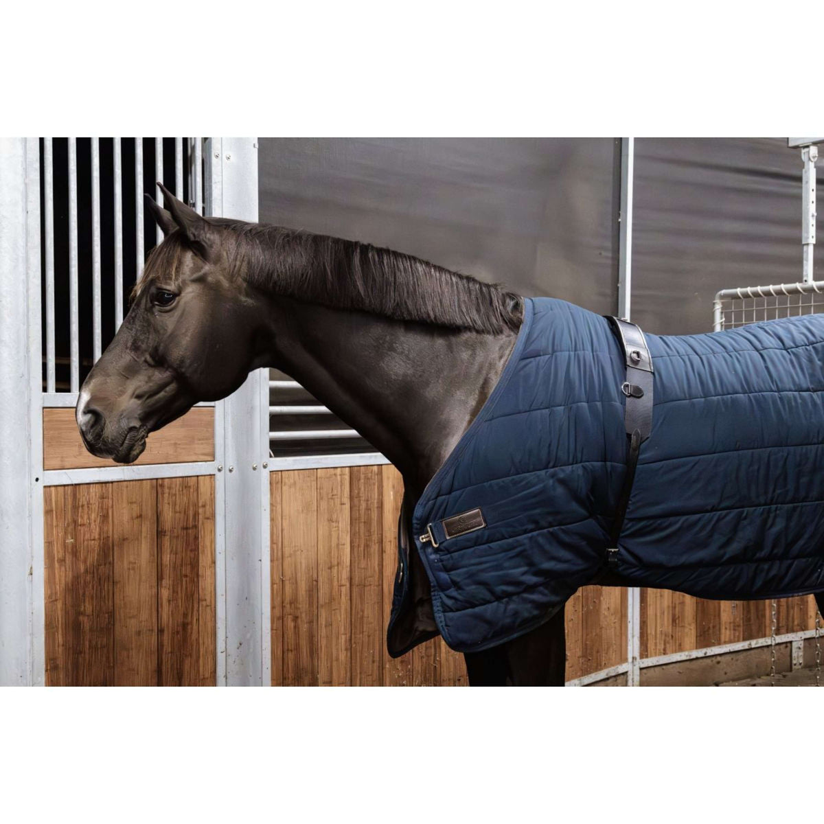 Kentucky Horsewear Surfaix de Longe Nylon Noir