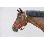 Kentucky Licol Nylon Breakaway Bordeaux