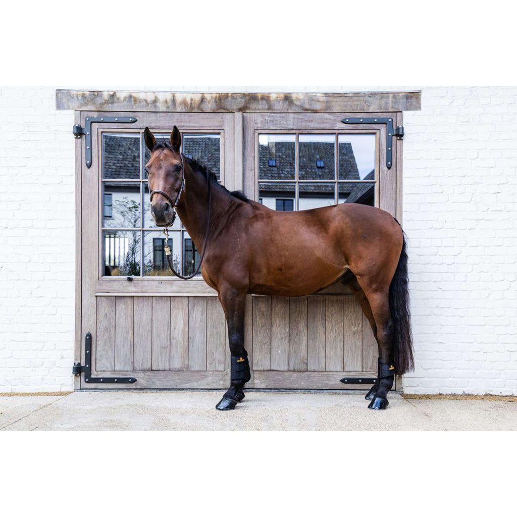 Kentucky Turnout Boots ProAIR Short