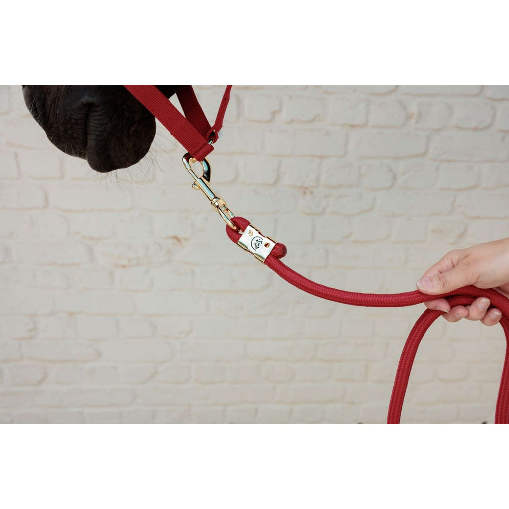 Kentucky Licol Velvet Rouge