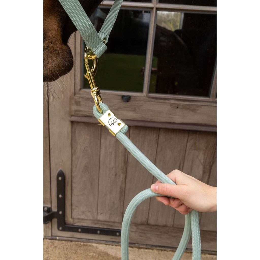 Kentucky Corde pour Licol Basic Menthe