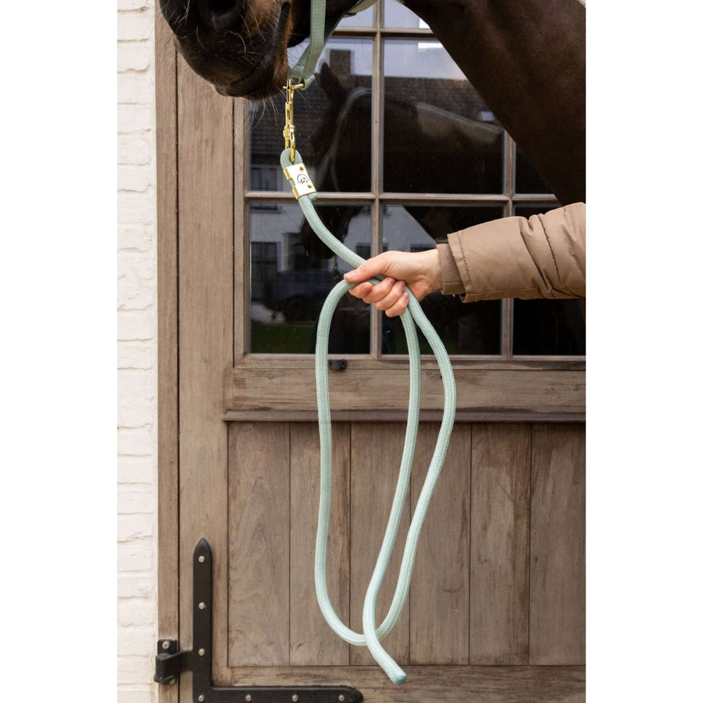 Kentucky Corde pour Licol Basic Menthe