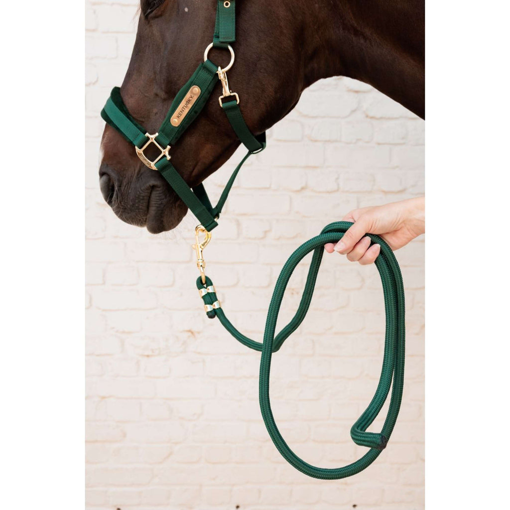 Kentucky Licol Velvet Pine Green