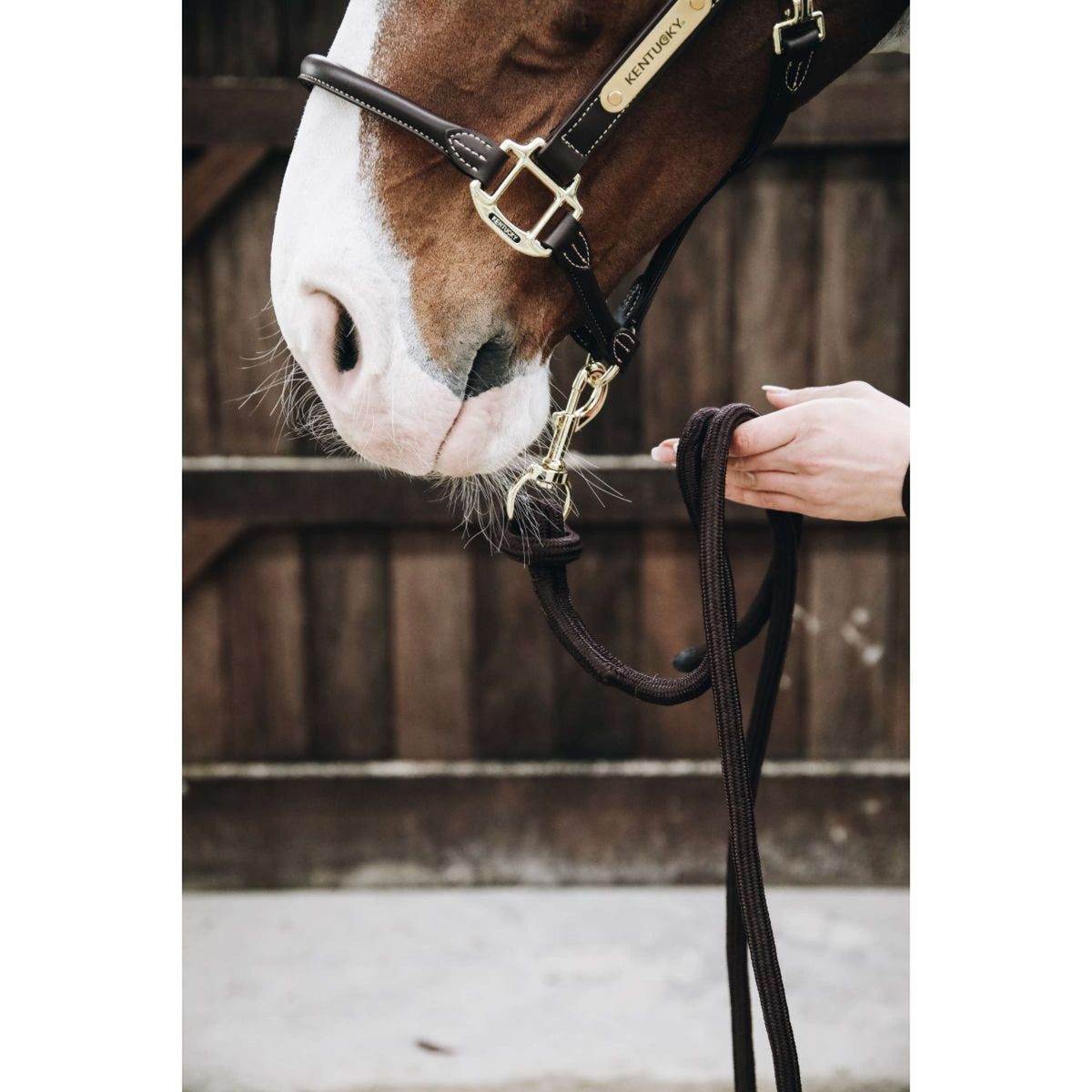 Kentucky Corde pour Licol Loop Marron