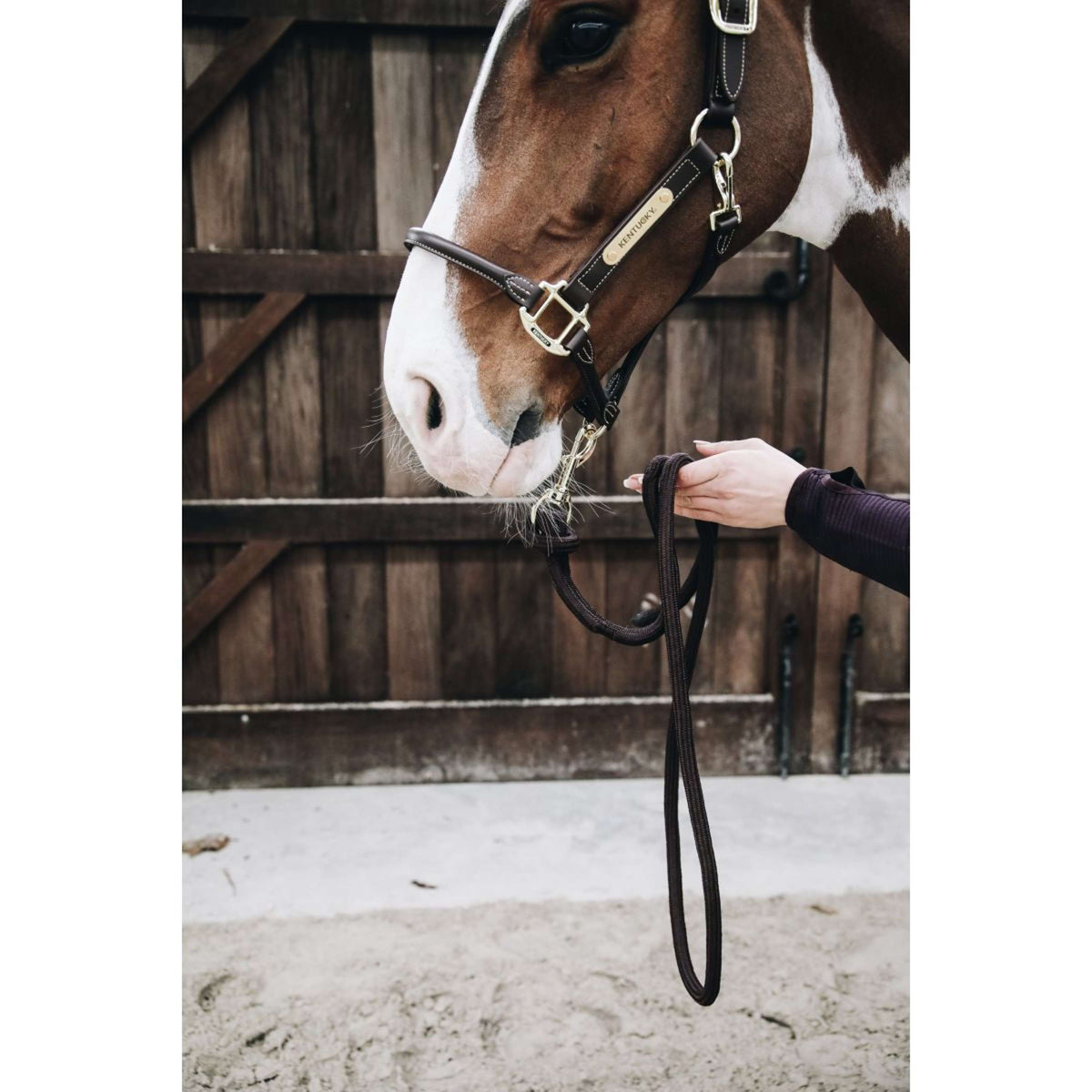 Kentucky Corde pour Licol Loop Marron