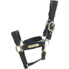 Kentucky Licol velours Noir
