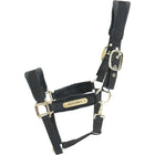 Kentucky Licol velours Noir