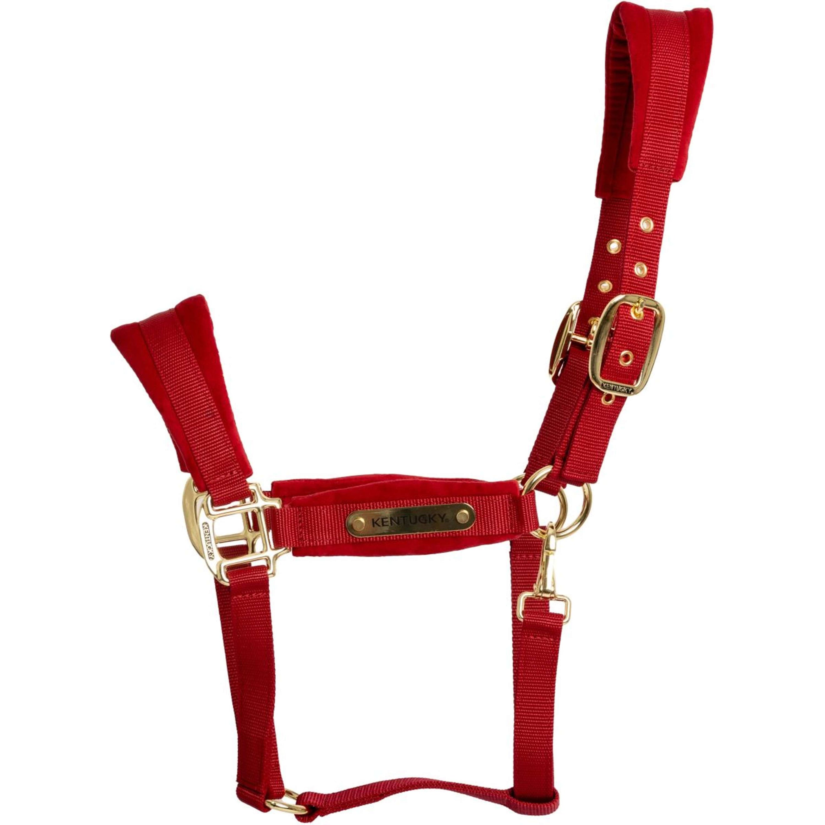Kentucky Licol Velvet Rouge