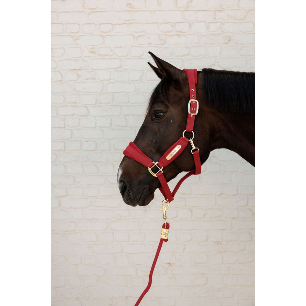 Kentucky Licol Velvet Rouge
