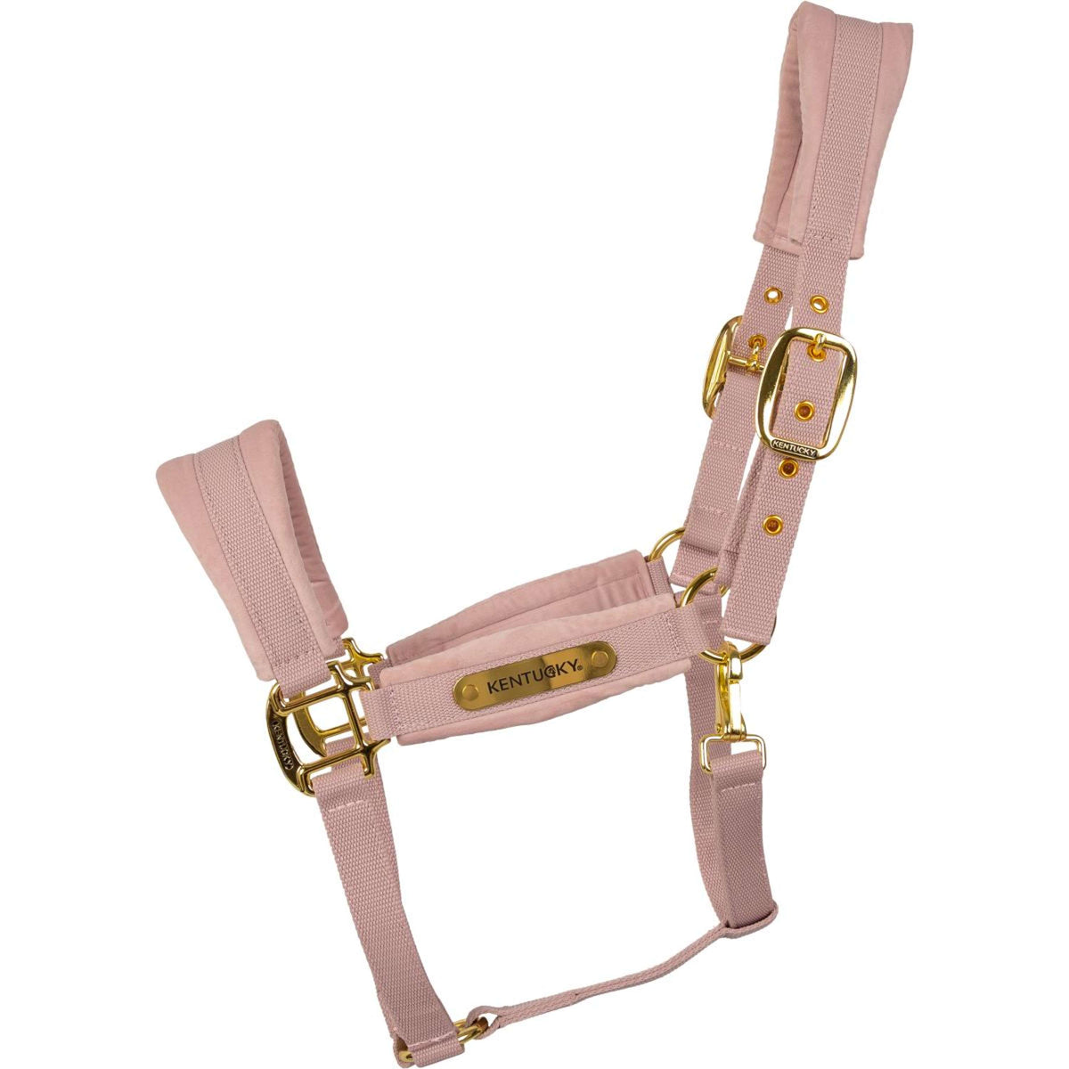 Kentucky Licol Velvet Soft Rose